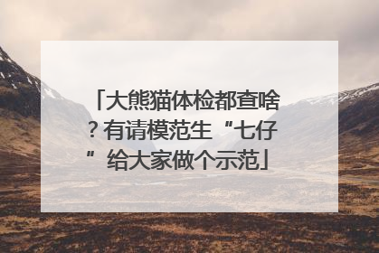 大熊猫体检都查啥？有请模范生“七仔”给大家做个示范