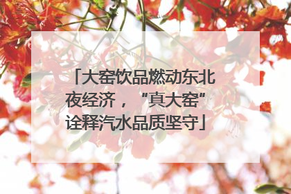 大窑饮品燃动东北夜经济，“真大窑”诠释汽水品质坚守