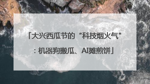 大兴西瓜节的“科技烟火气”：机器狗搬瓜、AI摊煎饼