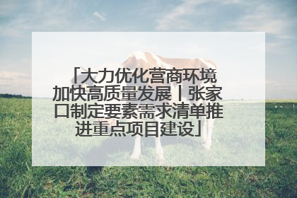 大力优化营商环境 加快高质量发展丨张家口制定要素需求清单推进重点项目建设