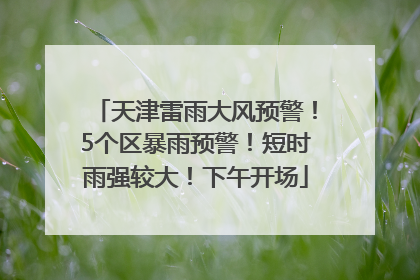 天津雷雨大风预警！5个区暴雨预警！短时雨强较大！下午开场