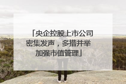 央企控股上市公司密集发声，多措并举加强市值管理