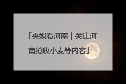 央媒看河南｜关注河南抢收小麦等内容