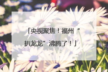 央视聚焦！福州“扒龙龙”沸腾了！