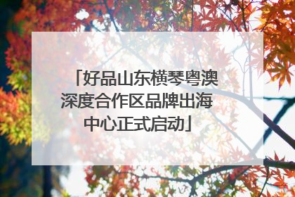 好品山东横琴粤澳深度合作区品牌出海中心正式启动