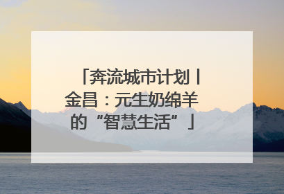 奔流城市计划丨金昌：元生奶绵羊的“智慧生活”