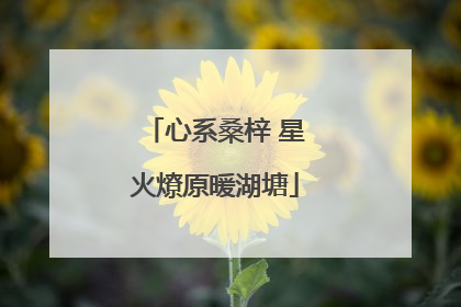 心系桑梓 星火燎原暖湖塘