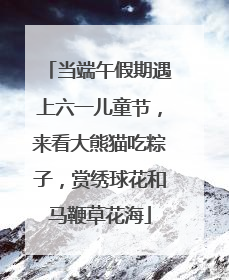 当端午假期遇上六一儿童节，来看大熊猫吃粽子，赏绣球花和马鞭草花海