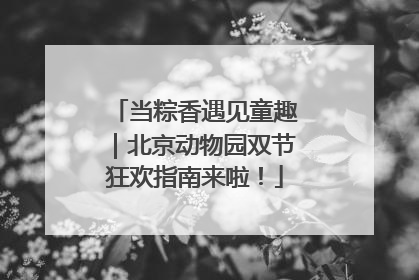 当粽香遇见童趣｜北京动物园双节狂欢指南来啦！