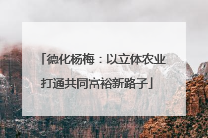 德化杨梅：以立体农业打通共同富裕新路子