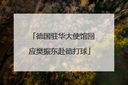 德国驻华大使馆回应樊振东赴德打球