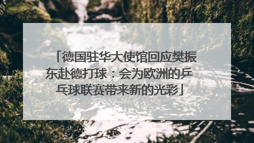 德国驻华大使馆回应樊振东赴德打球：会为欧洲的乒乓球联赛带来新的光彩