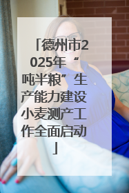 德州市2025年“吨半粮”生产能力建设小麦测产工作全面启动