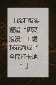 徐汇街头邂逅“初夏浪漫”！绣球花海成“全民打卡地”
