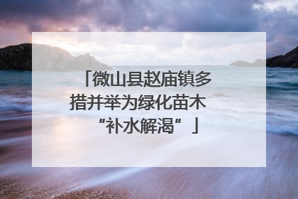 微山县赵庙镇多措并举为绿化苗木“补水解渴”