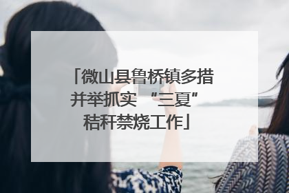微山县鲁桥镇多措并举抓实 “三夏” 秸秆禁烧工作