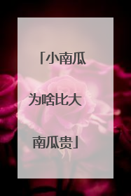 小南瓜为啥比大南瓜贵