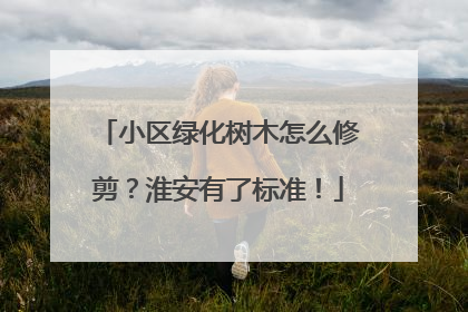 小区绿化树木怎么修剪？淮安有了标准！