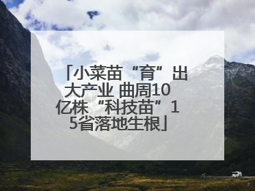小菜苗“育”出大产业 曲周10亿株“科技苗”15省落地生根