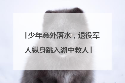 少年意外落水，退役军人纵身跳入湖中救人