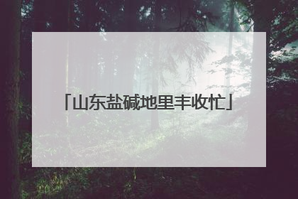 山东盐碱地里丰收忙