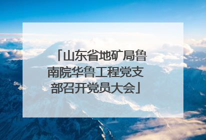 山东省地矿局鲁南院华鲁工程党支部召开党员大会