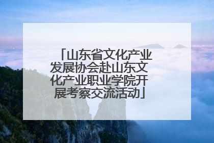 山东省文化产业发展协会赴山东文化产业职业学院开展考察交流活动