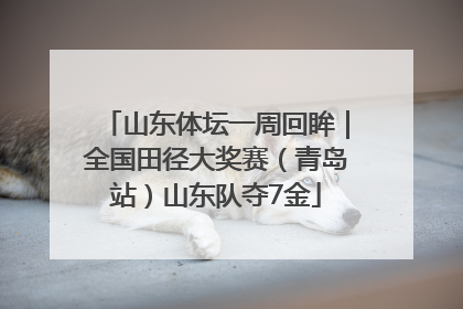 山东体坛一周回眸｜全国田径大奖赛（青岛站）山东队夺7金