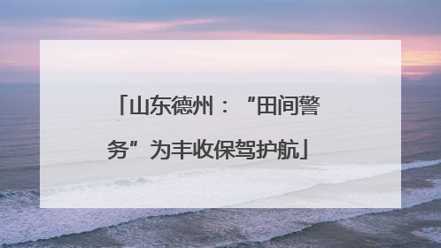 山东德州：“田间警务”为丰收保驾护航