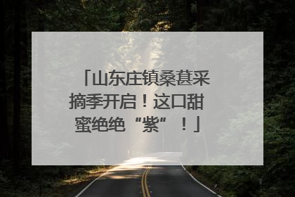山东庄镇桑葚采摘季开启！这口甜蜜绝绝“紫”！