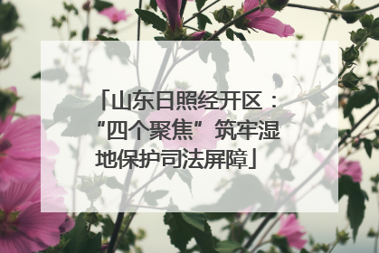 山东日照经开区：“四个聚焦”筑牢湿地保护司法屏障