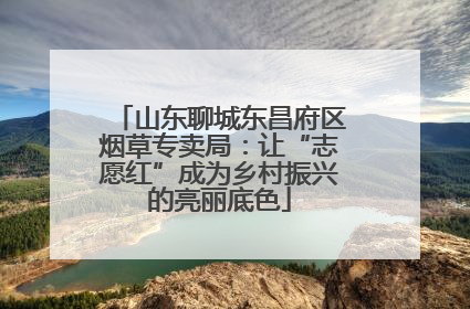 山东聊城东昌府区烟草专卖局：让“志愿红”成为乡村振兴的亮丽底色