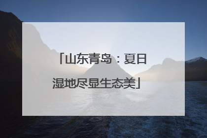 山东青岛：夏日湿地尽显生态美
