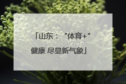 山东：“体育+”健康 尽显新气象