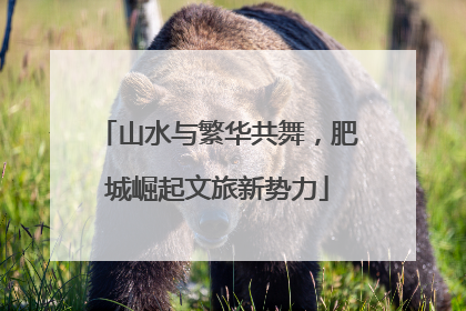 山水与繁华共舞，肥城崛起文旅新势力