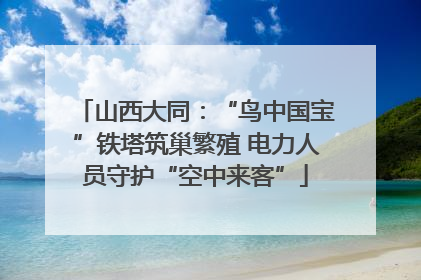 山西大同：“鸟中国宝”铁塔筑巢繁殖 电力人员守护“空中来客”