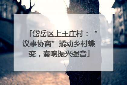 岱岳区上王庄村：“议事协商”撬动乡村蝶变，奏响振兴强音
