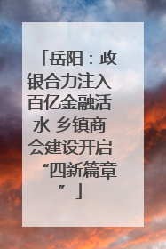 岳阳：政银合力注入百亿金融活水 乡镇商会建设开启“四新篇章”