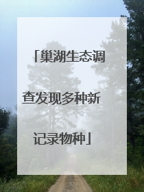 巢湖生态调查发现多种新记录物种