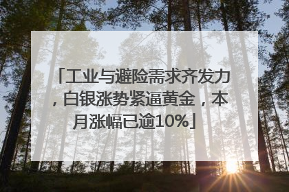 工业与避险需求齐发力，白银涨势紧逼黄金，本月涨幅已逾10%