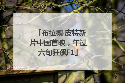布拉德·皮特新片中国首映，年过六旬狂飙F1