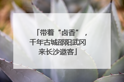 带着“卤香”，千年古城邵阳武冈来长沙邀客