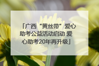 广西“黄丝带”爱心助考公益活动启动 爱心助考20年再升级