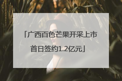 广西百色芒果开采上市 首日签约1.2亿元