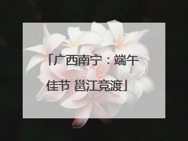 广西南宁：端午佳节 邕江竞渡