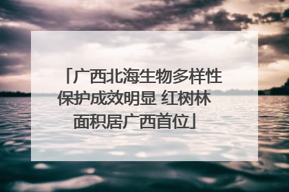 广西北海生物多样性保护成效明显 红树林面积居广西首位
