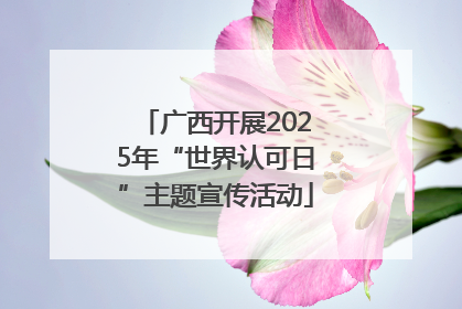 广西开展2025年“世界认可日”主题宣传活动