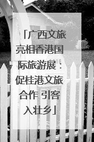 广西文旅亮相香港国际旅游展：促桂港文旅合作 引客入壮乡