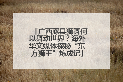 广西藤县狮舞何以舞动世界？海外华文媒体探秘“东方狮王”炼成记