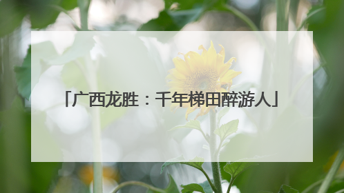 广西龙胜：千年梯田醉游人